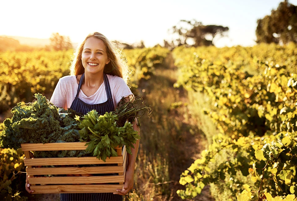 For Sustainable Packaging Solutions;